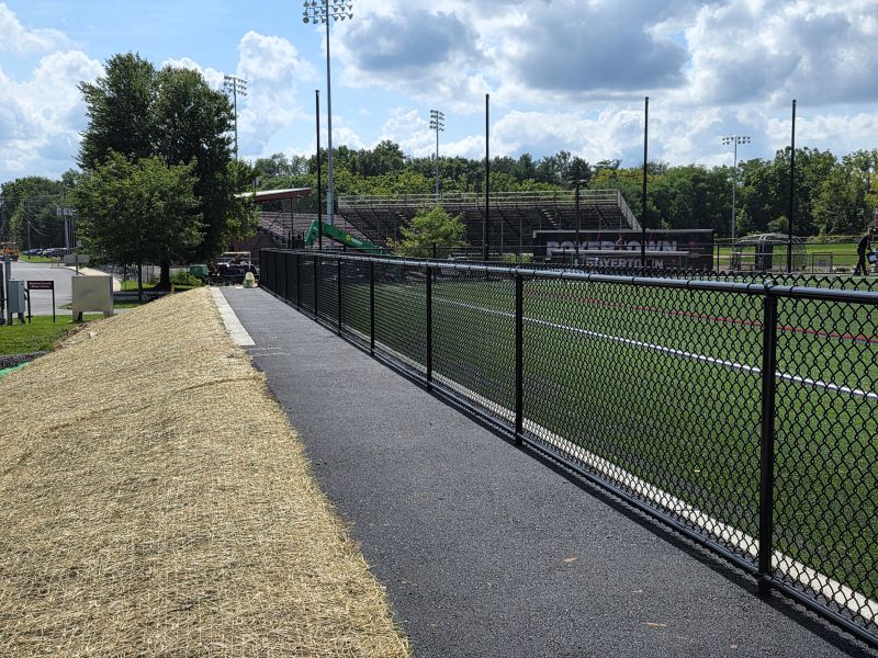 Chain-link fence enclosing a yard